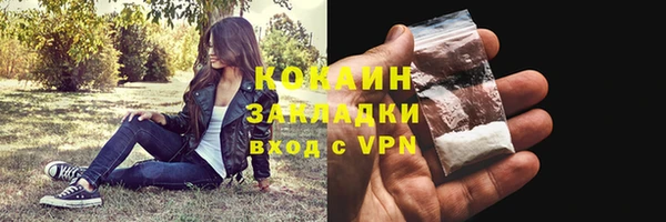дживик Алзамай