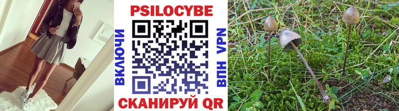 Псилоцибиновые грибы прущие грибы Ярцево
